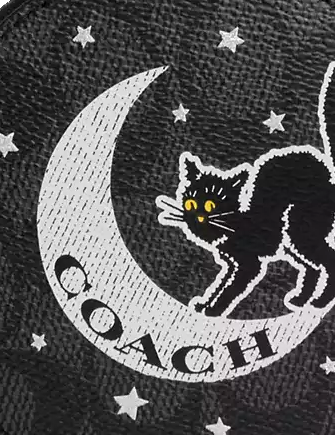 Coach_Coin_Case_In_Signature_Canvas_With_Halloween_Graphic_02_large.png